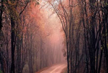 欧博体育：2024年WTA年终总决赛主场地揭晓央视新闻客户端.