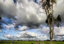 欧博体育：NCAA：普渡大学vs休斯顿大学下半场中文解说回放.