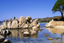 半场：海登海姆-基尔，派林格破门.